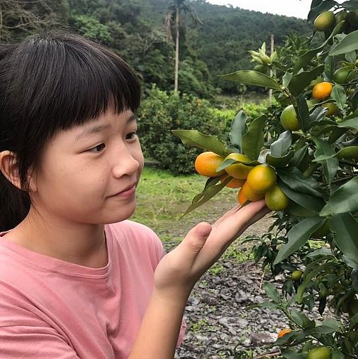 冬令營,竹筒飯,烤棉花糖