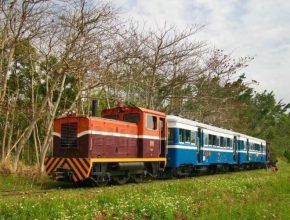 烏樹林車站,枝仔冰,逛市集